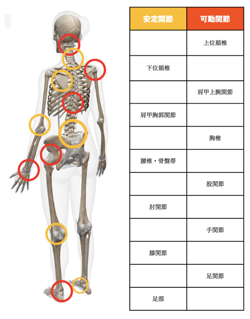 ジョイントバイジョイント　理論
joint by joint